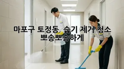 마포구 토정동 🏡 습기 제거 청소, 뽀송뽀송하게! ✨