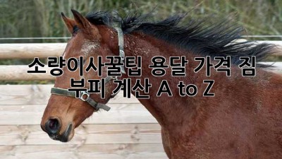 소량이사🚚꿀팁🍯 용달 가격, 짐 부피 계산 A to Z
