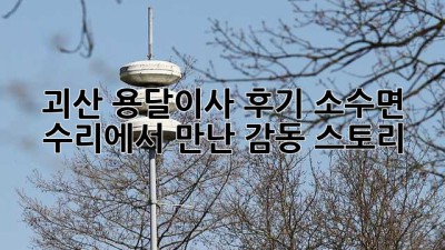 괴산 용달이사 후기🚚📦 소수면 수리에서 만난 감동 스토리✨