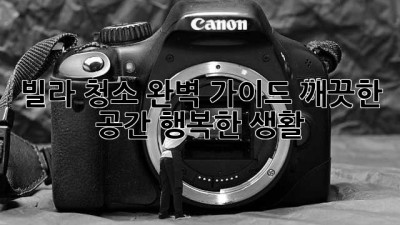 빌라 청소 완벽 가이드: 깨끗한 공간, 행복한 생활